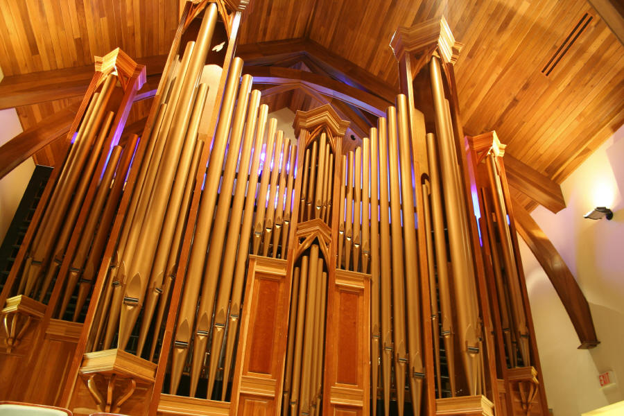 organ