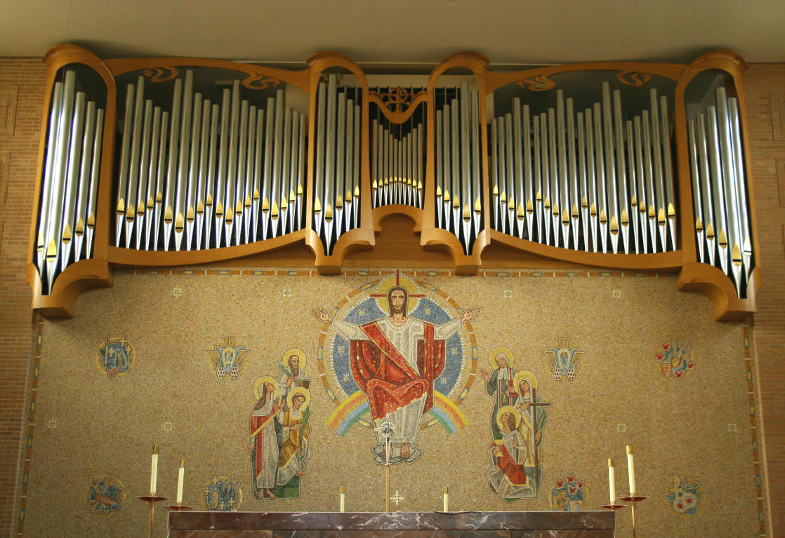 organ