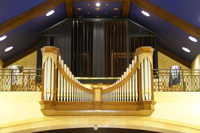 organ